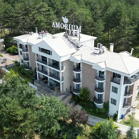 Amorium & Wooden Stone House Hotel Kastamonu